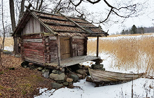 Tvistemål